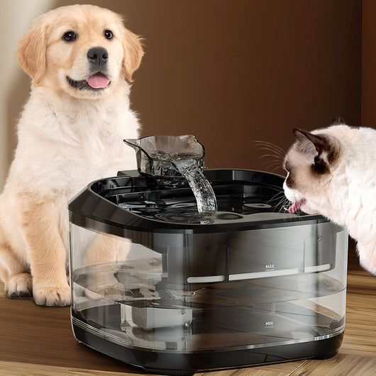 Fuente Automática para Mascotas con Filtración Continua y Gran Capacidad