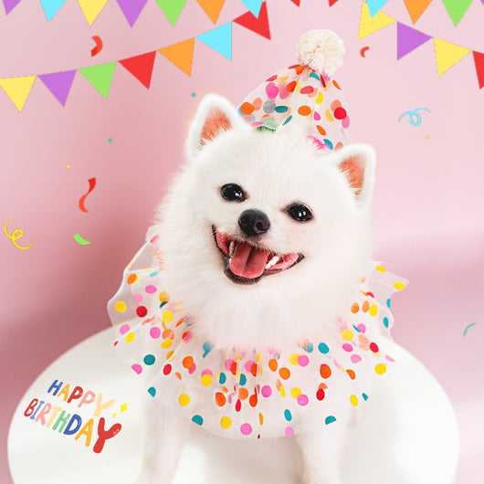 Traje de Cumpleaños para Perro con Encaje y Lunares