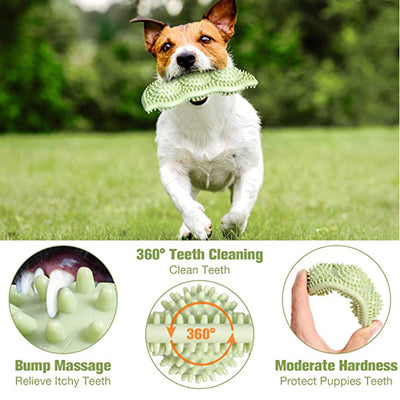 Light green pea pod shaped dog chew toy with textured nubs for teeth cleaning and bite resistance.