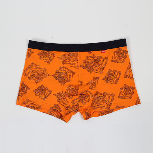 Bóxer Tipo Slip Algodón 100% Cintura Media Hombre - Image 19