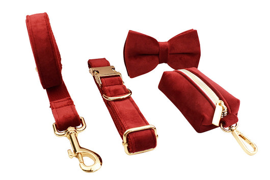 Collar de Tracción Resistente para Perros - Image 30