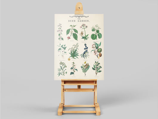 Lámina Vintage de Jardín de Hierbas Aromáticas con Ilustraciones Botánicas Educativas