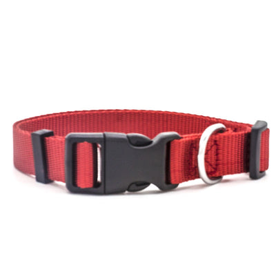 Collar para Mascotas Premium y Ajustable - Image 11