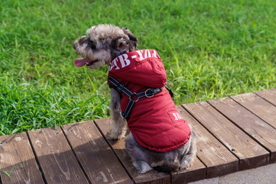 Abrigo Impermeable para Perros con Forro Polar y Capucha - Image 17