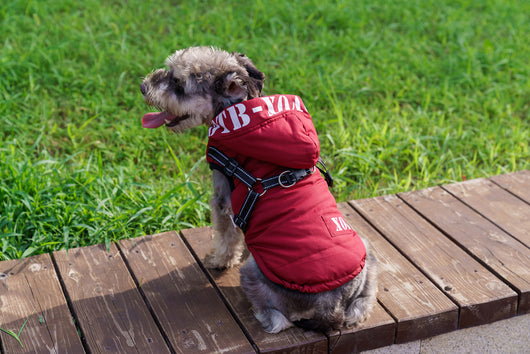 Abrigo Impermeable para Perros con Forro Polar y Capucha - Image 17