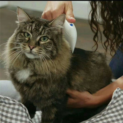 Peine Eléctrico Eliminador de Piojos para Gatos - Image 12