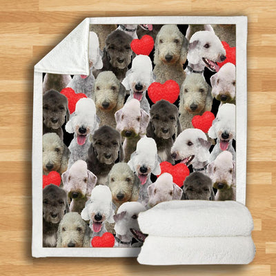 Manta de Franela Estampada para Perros de Diseño Moderno - Image 87