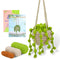 Sprout Mung Bean Basket Series Summary