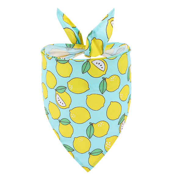 Toalla Absorbente Triangular para Perros - Diseño Frutal Verano