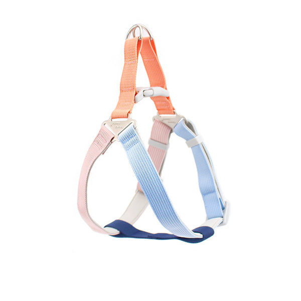 Correa Multicolor para Perro con Arnés de Pecho y Espalda