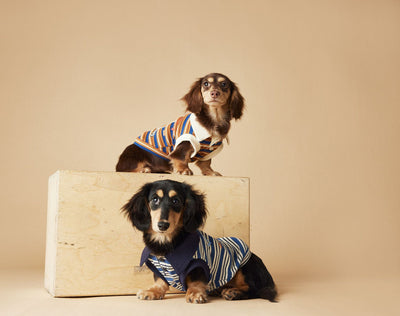 Polo sin Mangas a Rayas para Perros - Chaleco Elegante y Cómodo - Image 10