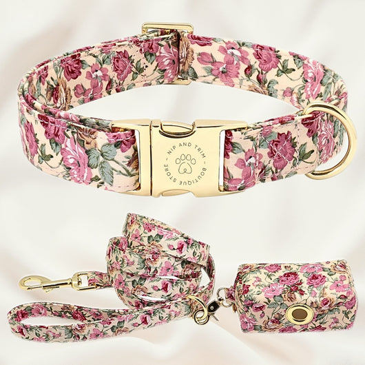 Collar Personalizado para Perro con Placa de Identificación - Image 7