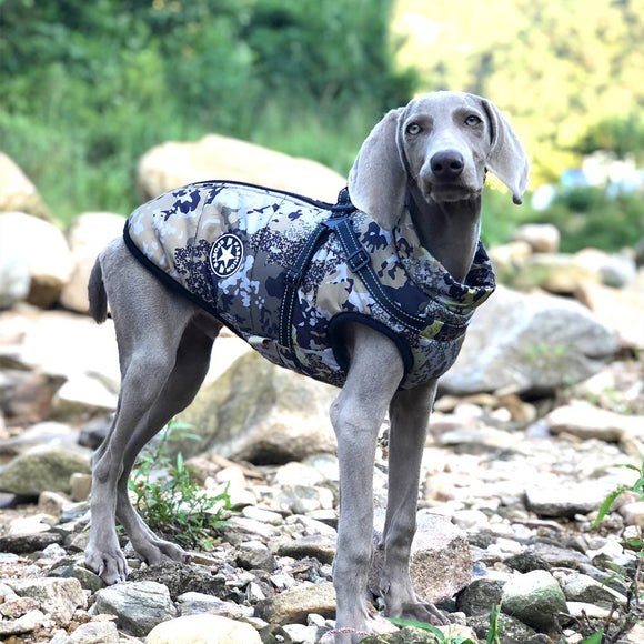 Abrigo Impermeable Camuflaje para Perros Grandes con Algodón Acolchado y Reflectivos