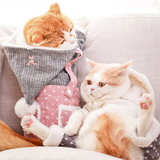 Abrigo Térmico para Cachorros Pequeños - Ropa de Invierno y Otoño - Image 3