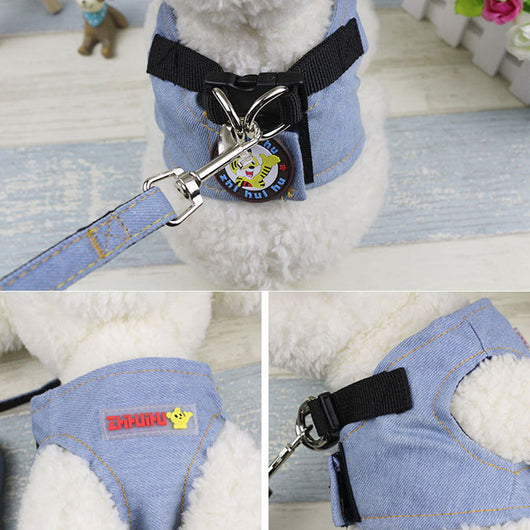 Correa Arnés Chaleco para Perros Pequeños - Image 11