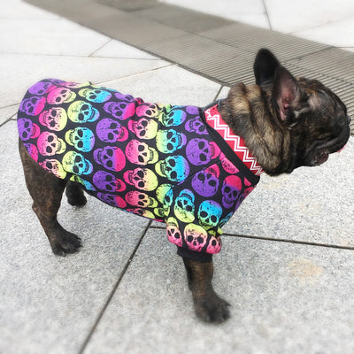 Ropa para Perros Pequeños - Abrigo Teddy para Bichón, Pomerania y Schnauzer - Image 8
