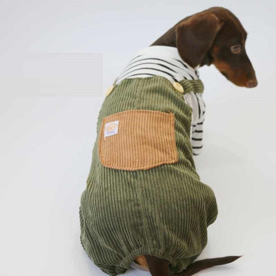 Ropa de Verano para Perros Pequeños - Pantalones de Pana Delgada - Image 10