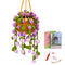 Pequeño Morado Flower Basket Series Summary