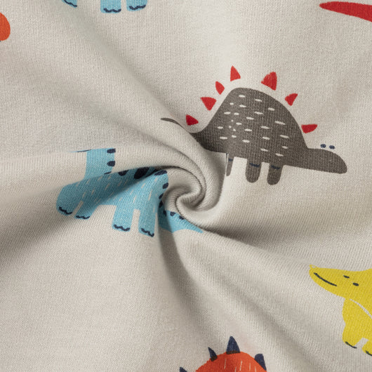 Conjunto de Sudadera con Capucha y Pantalón Estampado Dinosaurios para Otoño e Invierno - Image 13