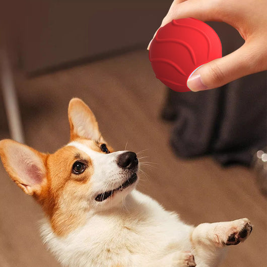 Pelota Interactiva Automática con Salto para Gatos - Juguete Eléctrico de Entrenamiento - Image 7
