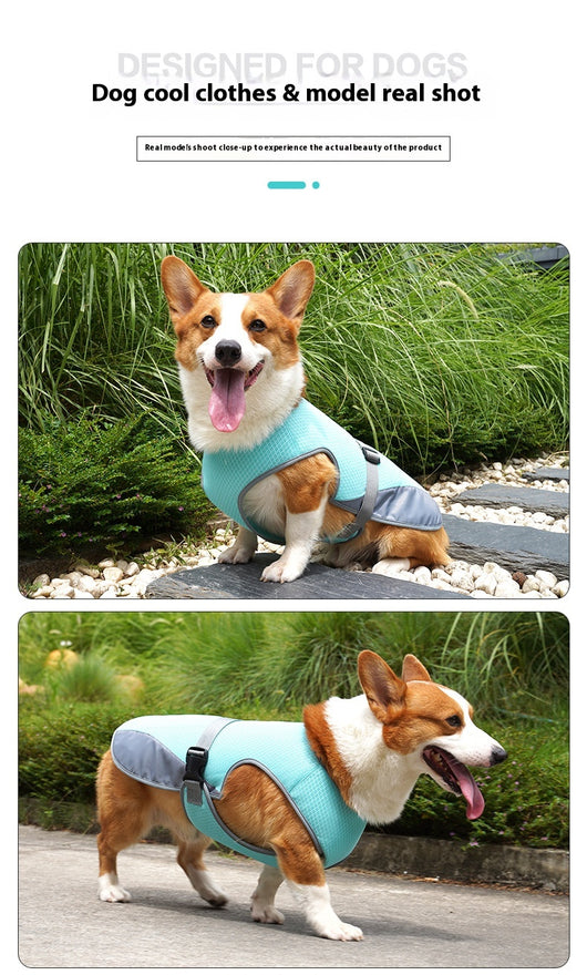 Chaleco Refrigerante para Perros - Ropa Transpirable Antiinsolación - Image 9