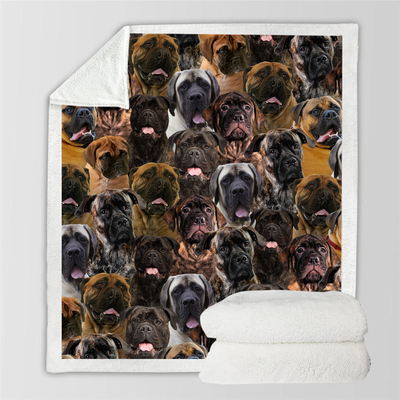 Manta Franela Estampada para Perros - Image 55