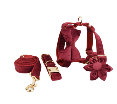 Collar de Perro Terciopelo Suave y Elegante - Image 34