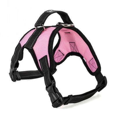 Blue and black mesh dog harness with adjustable straps, a D-ring for leash attachment, and a quick-release buckle. - Image 12