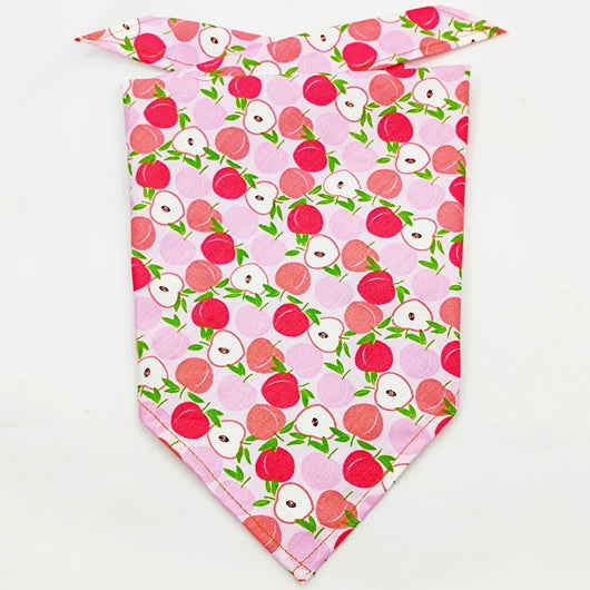 Pañuelo Bandana Absorbente para Mascotas con Diseño Frutal - Image 19