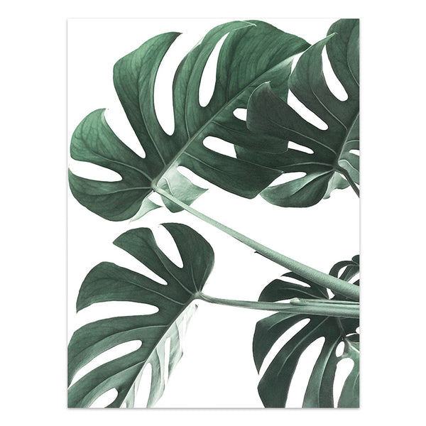 Póster de Plantas Tropicales Estilo Nórdico - Lámina de Hojas Verdes