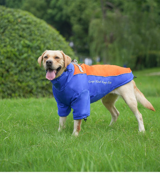 Abrigo Térmico de Polar para Perros - Image 25