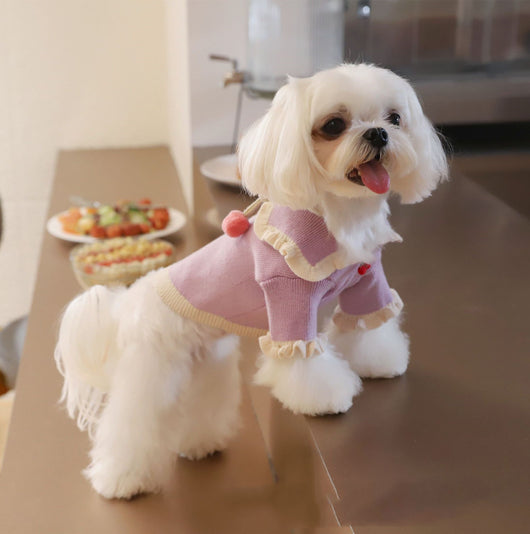Abrigo de Lana para Perro con Diseño de Fresa - Calidez y Estilo