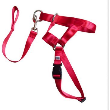 Correa Anti-Jalones para Perros - Control Profesional de Tracción - Image 16