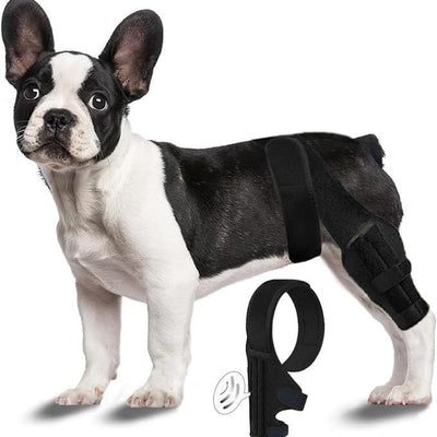 Black pet leg brace for dog injury assistance and rehabilitation, featuring adjustable straps and a supportive design. - Image 3