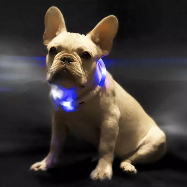 Collar Luminoso Antiextravío para Perros - Collar Inteligente LED