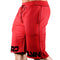 Shorts de Algodón Estampado con Stretch - Estilo Casual Versátil