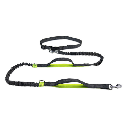 Correa Extensible Reflectante Doble para Perros con Telescopio de Seguridad - Image 5