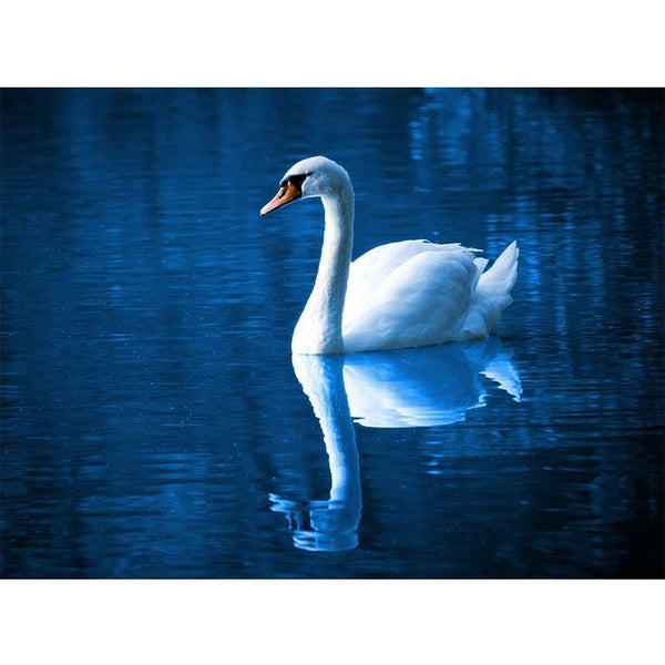 Pintura de Diamantes 5D Cisne