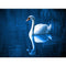 Pintura de Diamantes 5D Cisne
