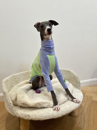 Chaleco de Algodón con Combinación de Colores para Perro Terrier Linton - Image 4