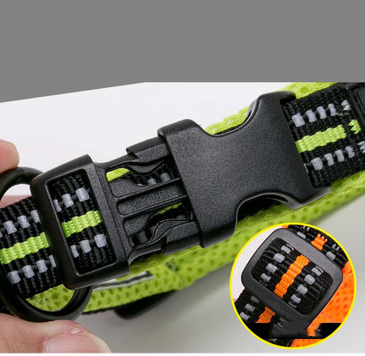 Collar para Perro de Nylon Reflectante Ajustable - Image 5