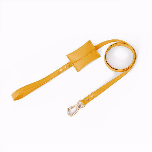 Correa Portátil de Cuero Suave para Perros Pequeños - Image 14
