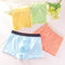 Calzoncillos Tipo Boxer de Algodón Premium para Niños con Rayas