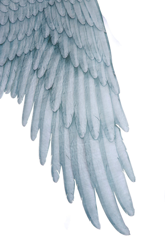 Alas de Ángel Oversized Unisex Negro y Blanco para Halloween - Image 19