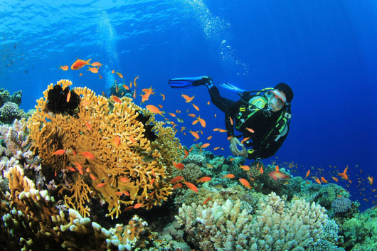 Linterna de Buceo Profesional LED Recargable Sumergible - Image 6