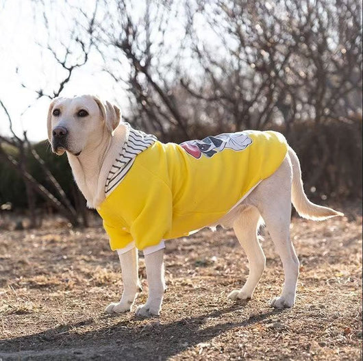 Sudadera Térmica para Perros Medianos y Grandes - Image 22