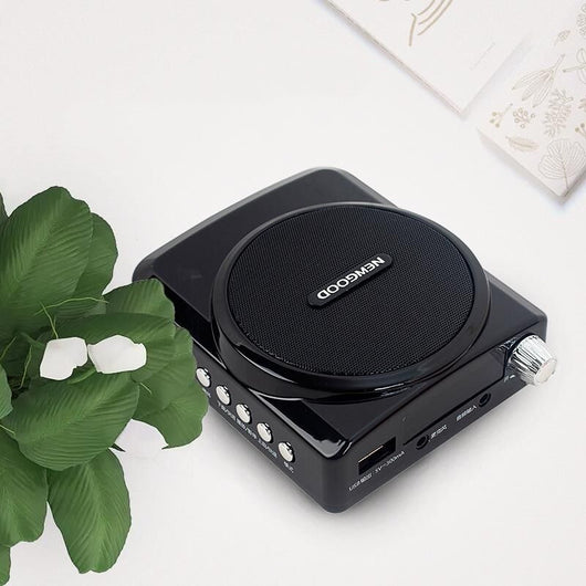 Amplificador de Potencia para Parlantes Profesional - Image 6