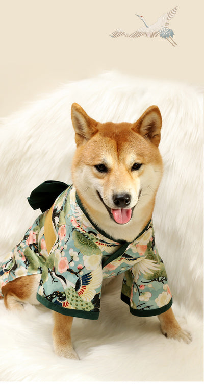 Traje Tradicional Kimono para Perros Shiba Inu y Gatos - Ropa Asiática Tang para Mascotas Pequeñas y Medianas - Image 6