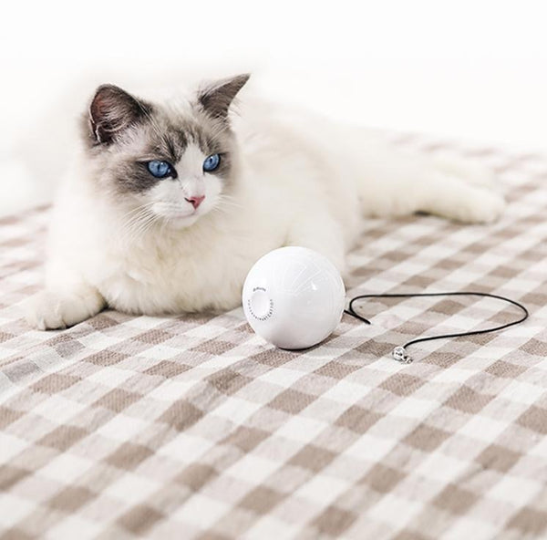 White smart automatic interactive cat toy ball with a red indicator light, being activated by a hand pressing its button.