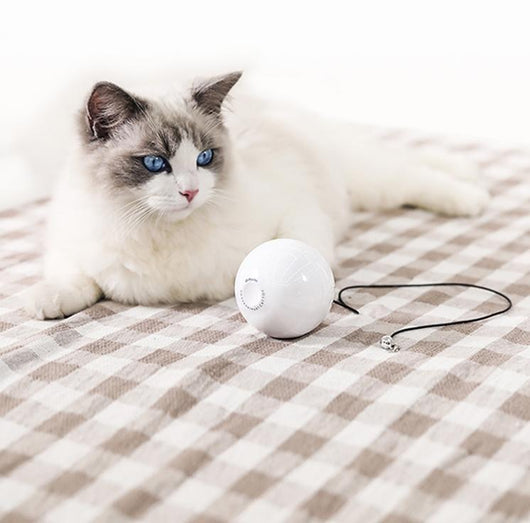 White smart automatic interactive cat toy ball with a red indicator light, being activated by a hand pressing its button.